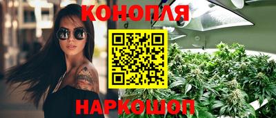 прущие грибы Конаково