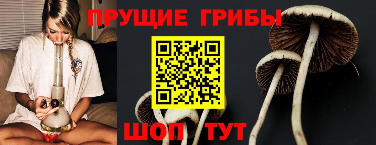 Псилоцибиновые грибы GOLDEN TEACHER  Вход с VPN  Киров 
